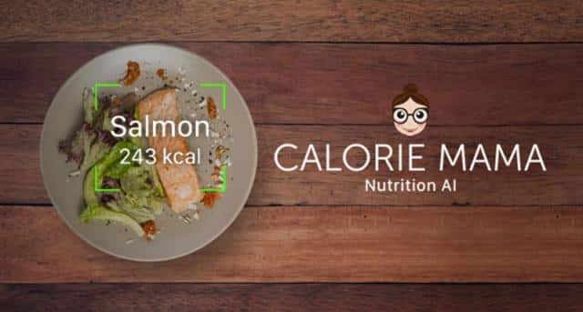 count calories calorie mama how do i count calories in food, tracking calories when eating out, find calories in restaurant food, how to know how many calories you’re eating, calorie counter chart, restaurant website, restaurant specials, how to lose weight, diet, calorie counting guide, lunch specials, lunch menu, food calorie meter