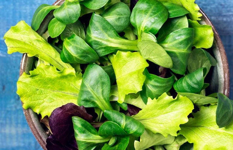 Green Leafy Vegetables