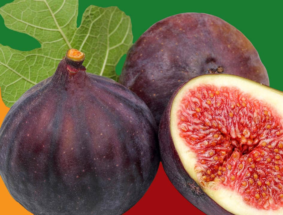 benefits of eating figs